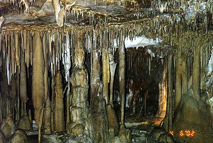 Formations in Lehman Cave
