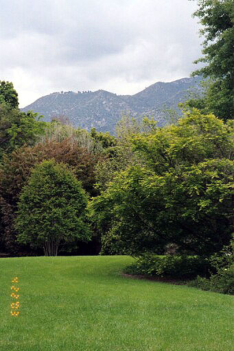 San Gabriel Mountain Vista over Tree Canopy and Lawnscape
