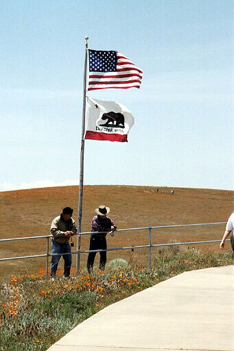 Breezy Flagpole Display At Antelope Valley California Poppy Reserve